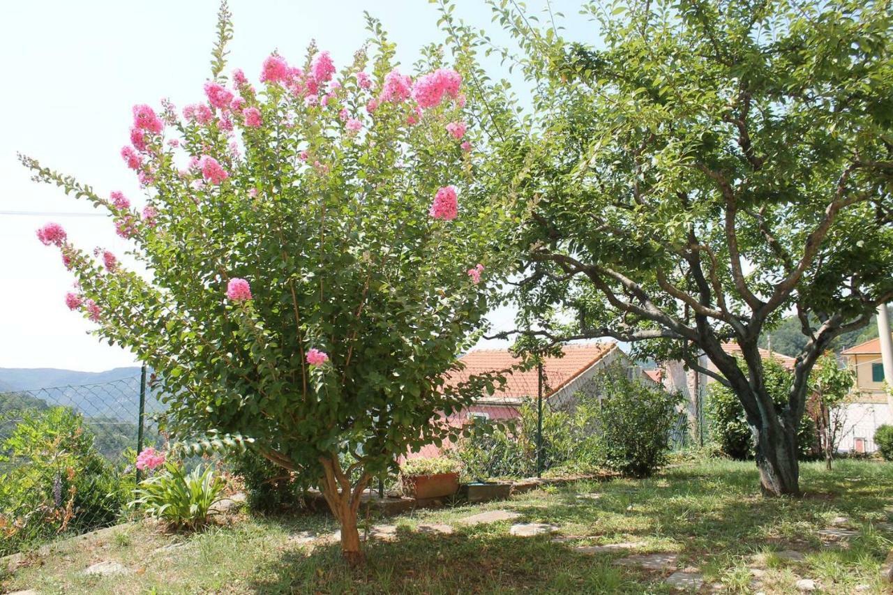 La Casetta Di Graziella Appartement Vezzi Portio Buitenkant foto